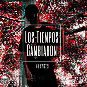 Cantante No Delincuente