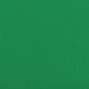 NO CELINE (Explicit)