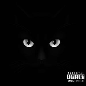 Black Cat (Explicit)