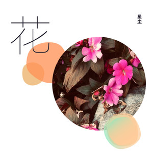 无畏的花 (伴奏)