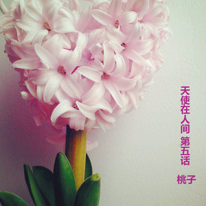 桃子 - 母亲 (美文版)