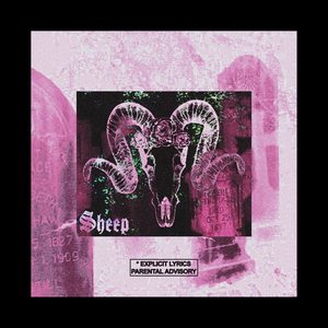 Sheep (Explicit)