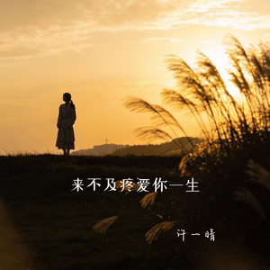 来不及疼爱你一生