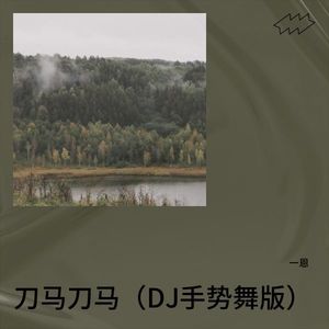 一恩 - 刀马刀马 (DJ手势舞版)