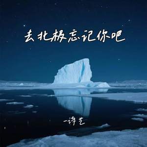 诗艺 - 去北极忘记你吧