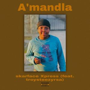 Amandla (feat. troysteezyrsa) [Explicit]