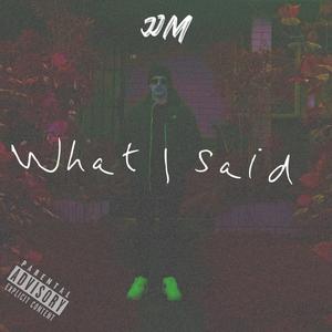 What I said (Explicit)