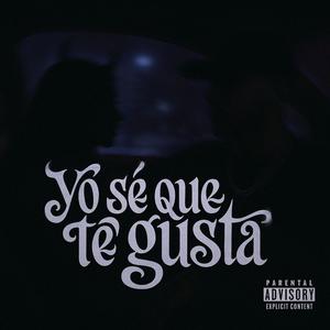 Yo Se Que Te Gusta (Explicit)