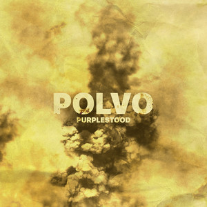 Polvo