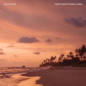 I Don't Want To Miss A Thing