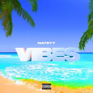 VIBES (Explicit)