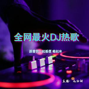 九分甜 - 人间惊鸿客（DJ沈念版）-叶里