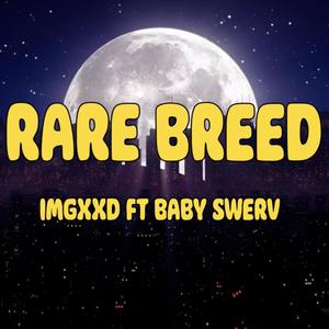 Rare Breed (feat. Baby Swerv) [Explicit]