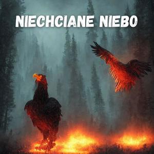 Niechciane niebo (Explicit)