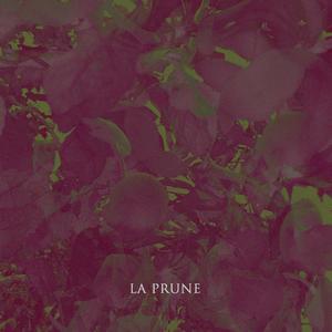 LA PRUNE (feat. La Prune)