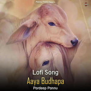 Aaya Budhapa (Lofi Remix)