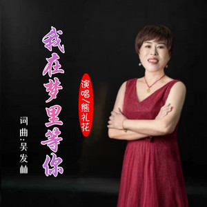 我在梦里等你 (伴奏)
