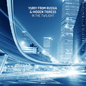In The Twilight (Original Mix)