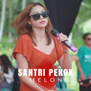Santri Pekok