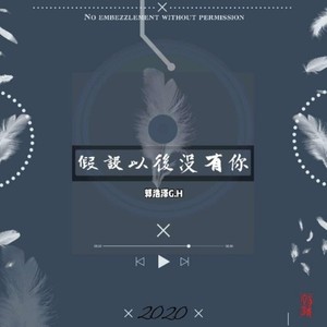 假设以后没有你