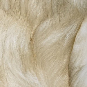 Getting Out of Bed he Tripped on a Stray Shoe and Twisted His Ankle