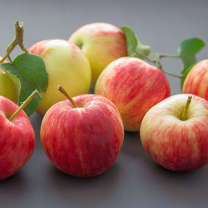 Ritmada Angelical (Slowed) (Explicit)