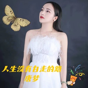 人生没有白走的路 (DJ佐罗)