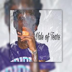 Vale of tears (Explicit)