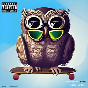 Skateboard Owl Remix (40DollarGram$ Remix) [Explicit]