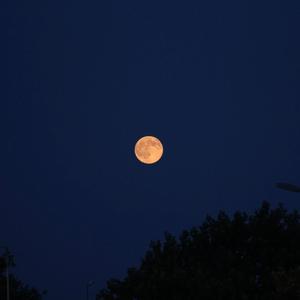 Hesitation (Explicit)