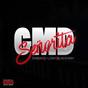 Señorita (Explicit)