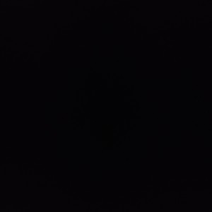 Captain Morgan(feat. Wayne Beats & Ace Rippa) (Explicit)