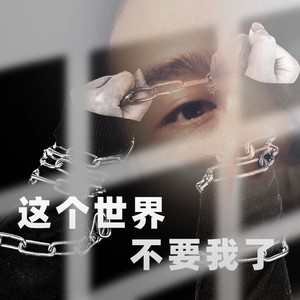 这个世界不要我了