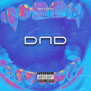 DND (feat. ceza) (Explicit)