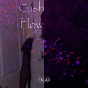 Cush Flow (Explicit)