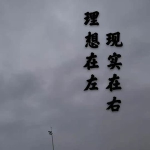 理想在左现实在右