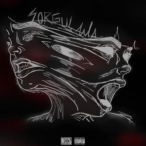 Sorgulama (feat. Seyir) (Explicit)
