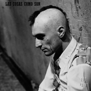 LAS COSAS COMO SON
