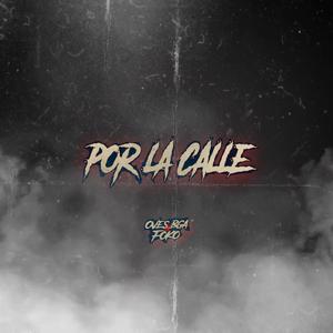 por la calle (feat. ft foko)