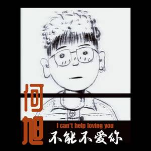 何旭 - 不能不爱你 (伴奏)