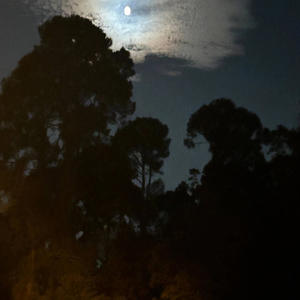 Cuff Nobody Freestyle (Explicit)