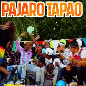 Pajaro Tapao (feat. DJ Solano Produciendo) [Explicit]