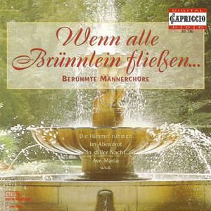 Choral Music (Male Choir) - Lyra, J.W. / Loewe, C. / Beethoven, L. Van / Silcher, F. / Alfven, H. / Schubert, F. / Grieg, E. / Schumann, R.