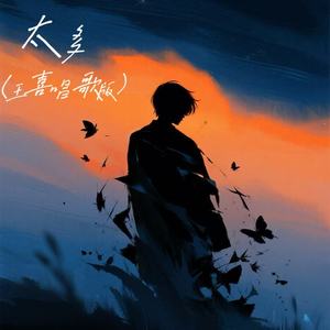 太多 (王喜唱歌版)