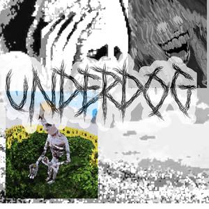 UNDERDOG
