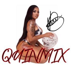 QUINMIX (Explicit)