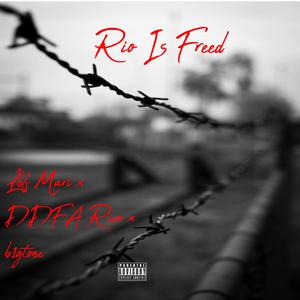 Rio Is Freed (feat. DDFA Rico & b1gtone) [Explicit]