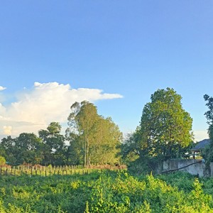 เดินไปทดลองไป