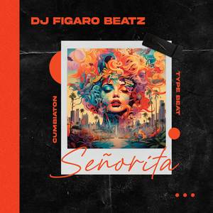 Señorita - Cumbiaton Type Beat