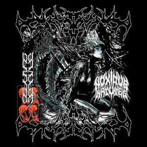 NOXIOUS NATURES (feat. Cessir) (Explicit)